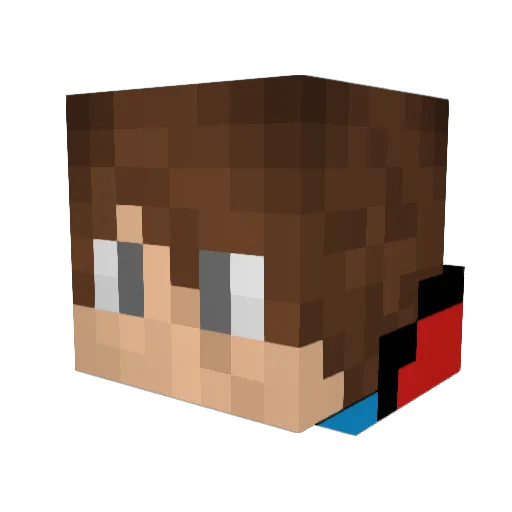 WeaponMaster55 Minecraft avatar head, 3D render