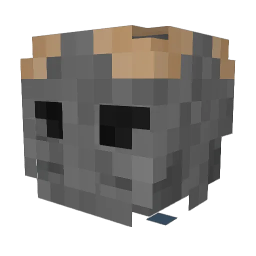 WeaponizedParrot Minecraft avatar head, 3D render