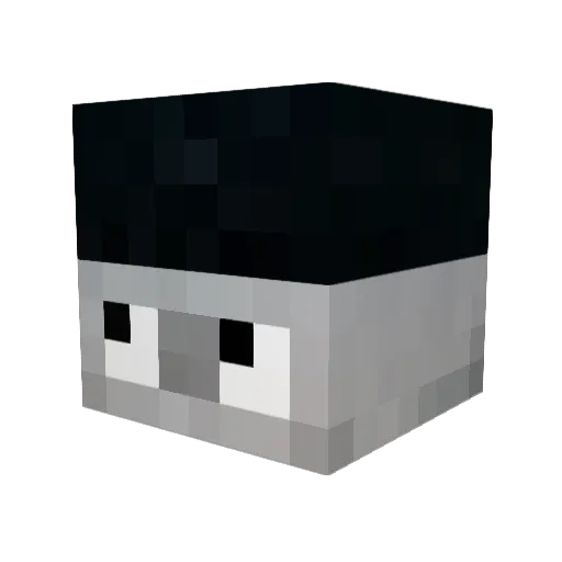 Weapown Minecraft avatar head, 3D render