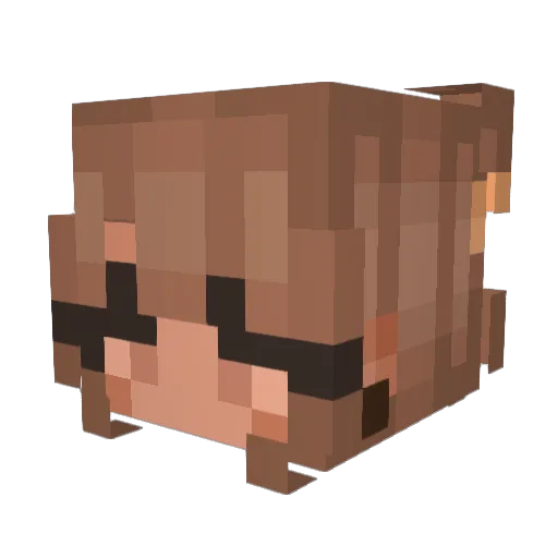 WeariedSnow33 Minecraft avatar head, 3D render