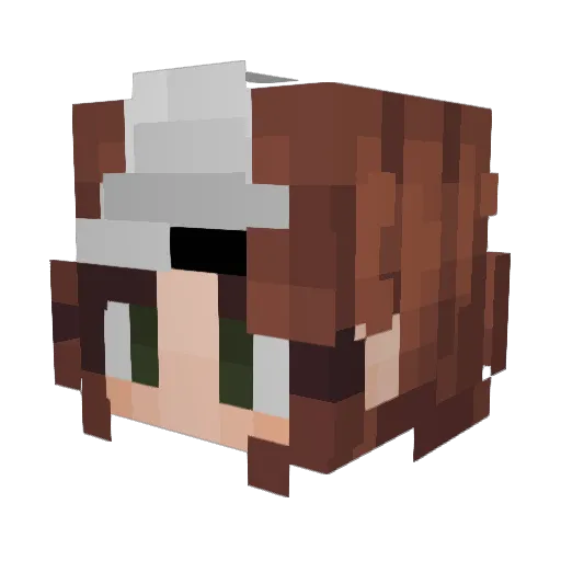 WearyWill0ws Minecraft avatar head, 3D render