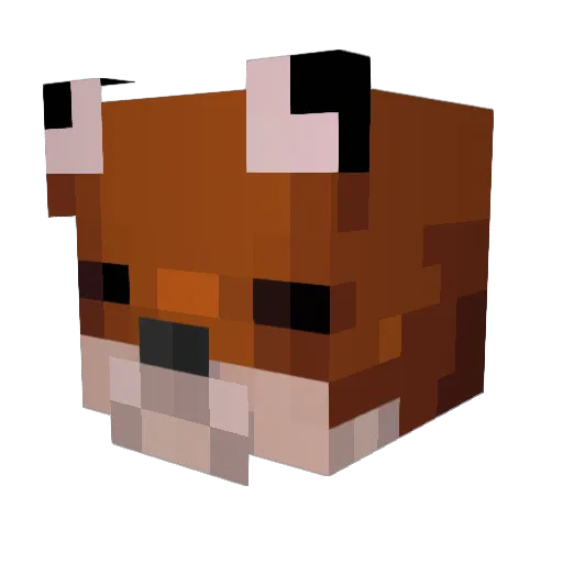 Weasel956 Minecraft avatar head, 3D render