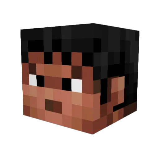 Weasle421 Minecraft avatar head, 3D render