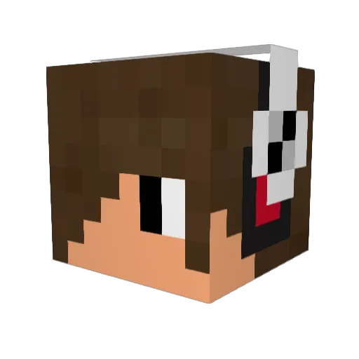 WebHawk Minecraft avatar head, 3D render