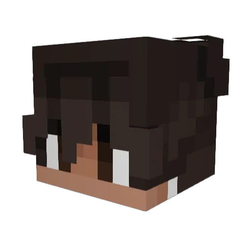 WebNX Minecraft avatar head, 3D render