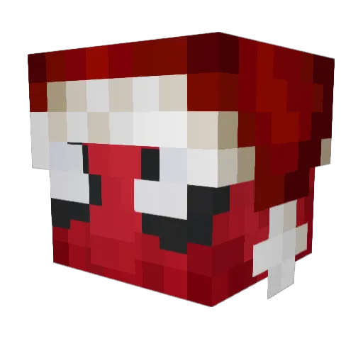 Web_Warrior Minecraft avatar head, 3D render