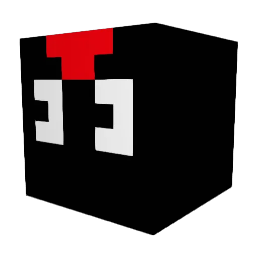 WebbyRaccoon201 Minecraft avatar head, 3D render