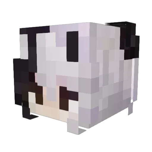 Webbycylinder03 Minecraft avatar head, 3D render