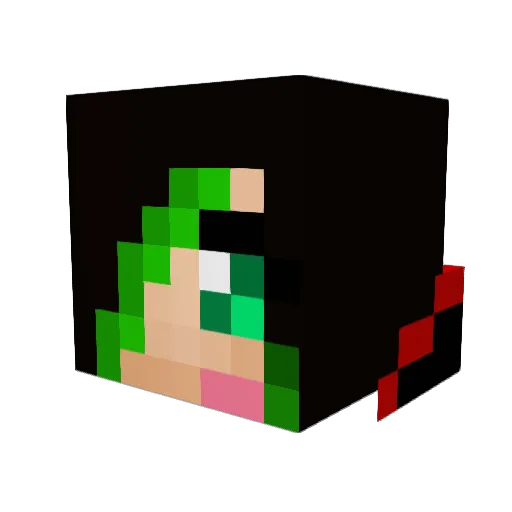 Webbz_98 Minecraft avatar head, 3D render