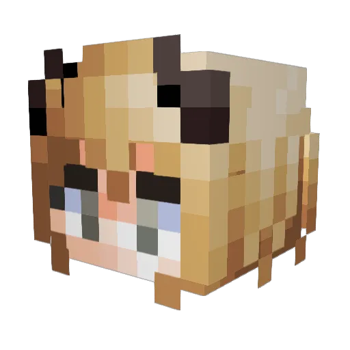 Webken Minecraft avatar head, 3D render
