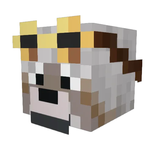 Weblogic Minecraft avatar head, 3D render