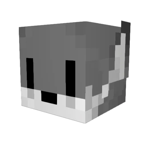 Websfan1234 Minecraft avatar head, 3D render