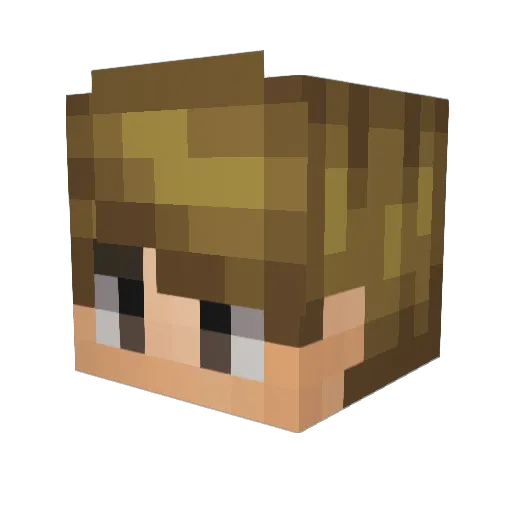 Websi Minecraft avatar head, 3D render