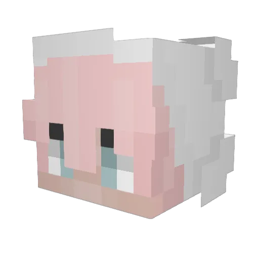 Webster234 Minecraft avatar head, 3D render