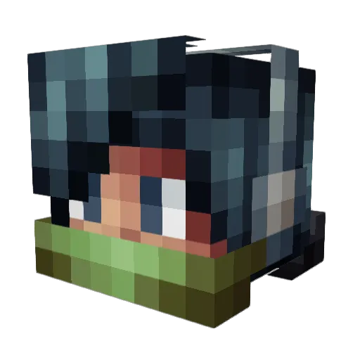 Websterwebster Minecraft avatar head, 3D render