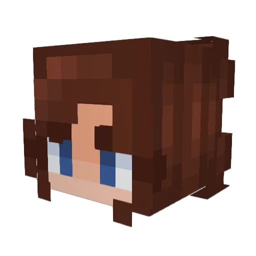 Websurfer1111 Minecraft avatar head, 3D render