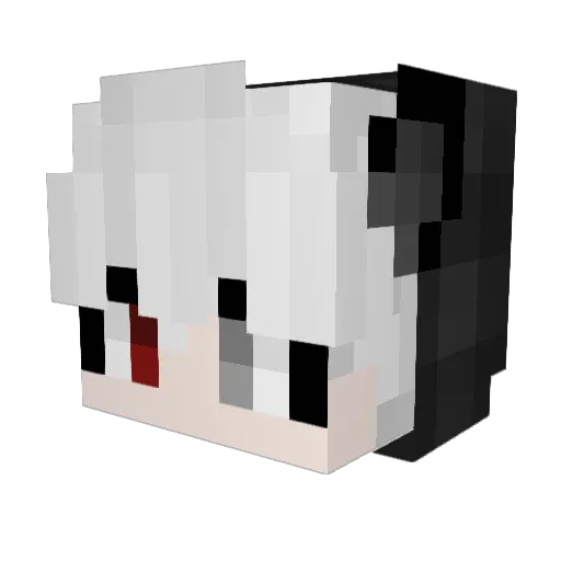 Wedded20 Minecraft avatar head, 3D render