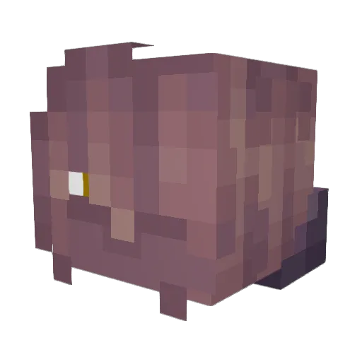 Wedge_Of_Lamp Minecraft avatar head, 3D render