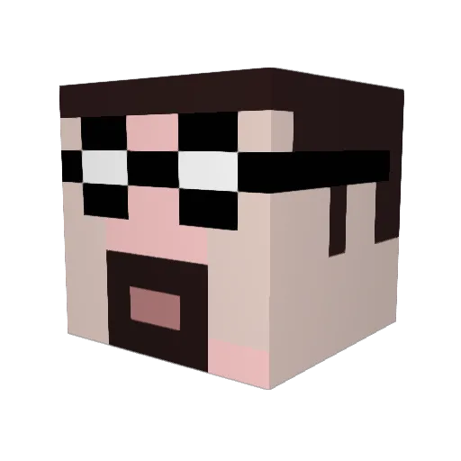 Wedgeh Minecraft avatar head, 3D render