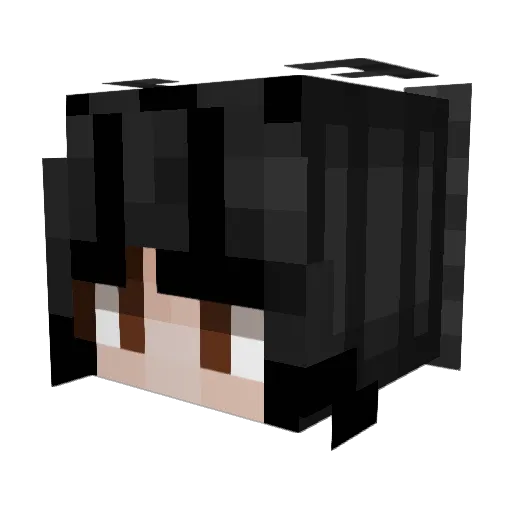 Wednesday45 Minecraft avatar head, 3D render