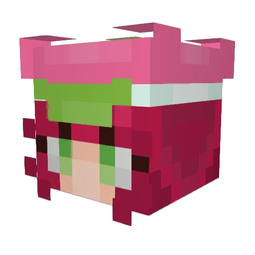 Wednesdays99 Minecraft avatar head, 3D render