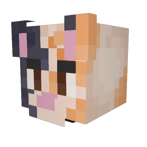 Wednesdayse Minecraft avatar head, 3D render