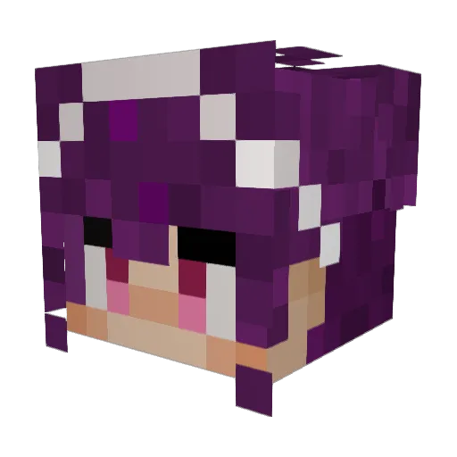 Wee011 Minecraft avatar head, 3D render