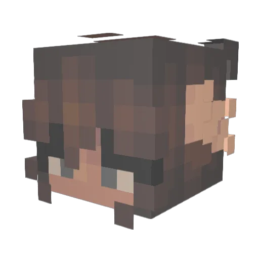 WeeDNaMeZe Minecraft avatar head, 3D render