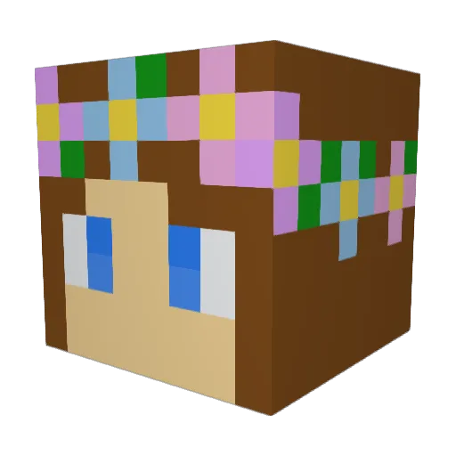 WeeDolphin Minecraft avatar head, 3D render