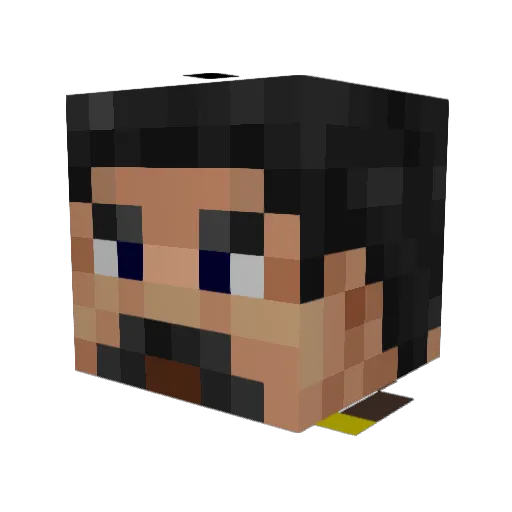 WeeDrinker Minecraft avatar head, 3D render