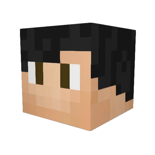 WeeHoppy Minecraft avatar head, 3D render