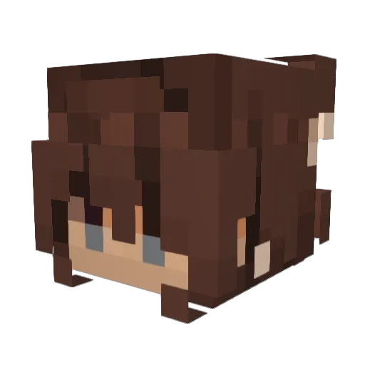 WeePrincess24 Minecraft avatar head, 3D render