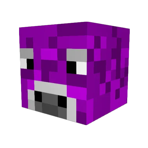 Wee_Spennny Minecraft avatar head, 3D render