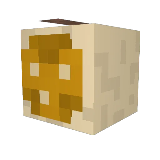 WeeabooFeminist Minecraft avatar head, 3D render