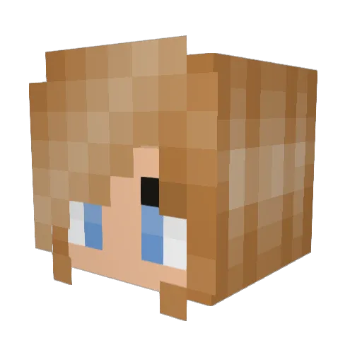 WeebDoc Minecraft avatar head, 3D render