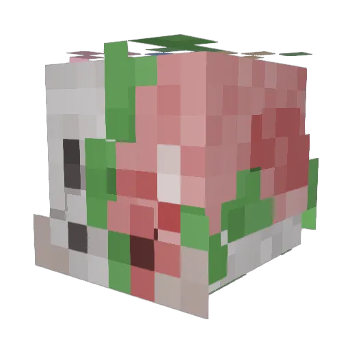 WeebPower224 Minecraft avatar head, 3D render