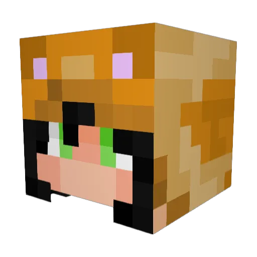Weeb_Phobia Minecraft avatar head, 3D render