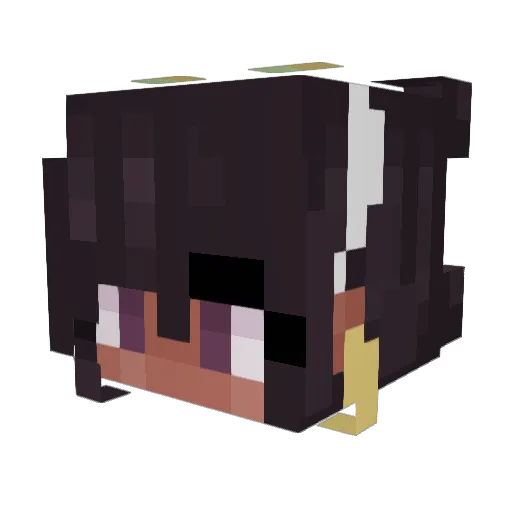 Weeblover_27 Minecraft avatar head, 3D render