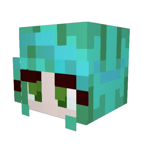 WeedPuppy Minecraft avatar head, 3D render