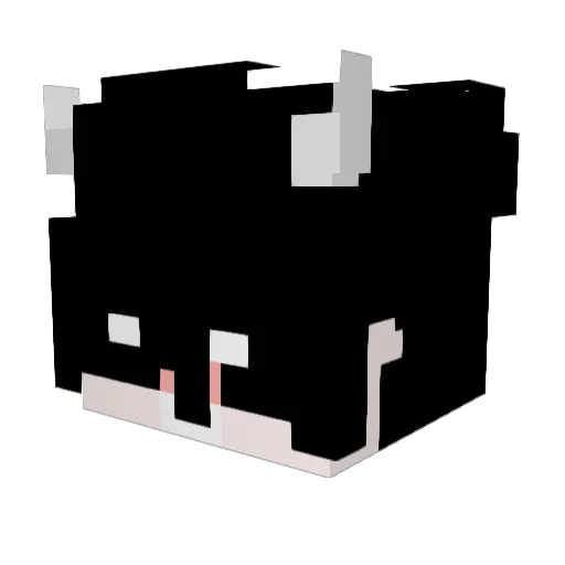 Weemp0z Minecraft avatar head, 3D render