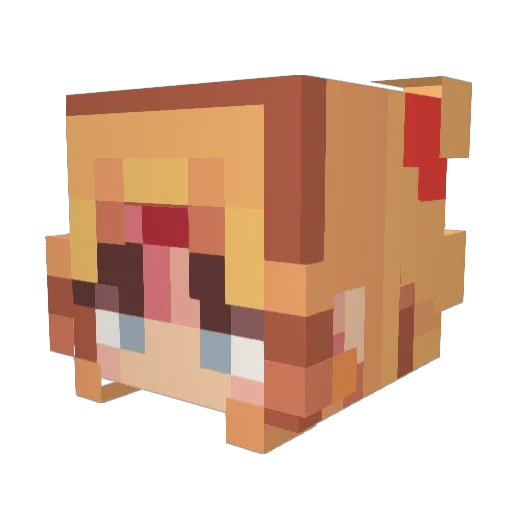 WeeniBeeni Minecraft avatar head, 3D render