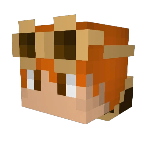 Weenstein Minecraft avatar head, 3D render