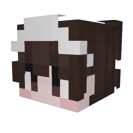 WeepBot Minecraft avatar head, 3D render