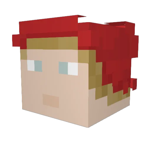 Weetlet Minecraft avatar head, 3D render