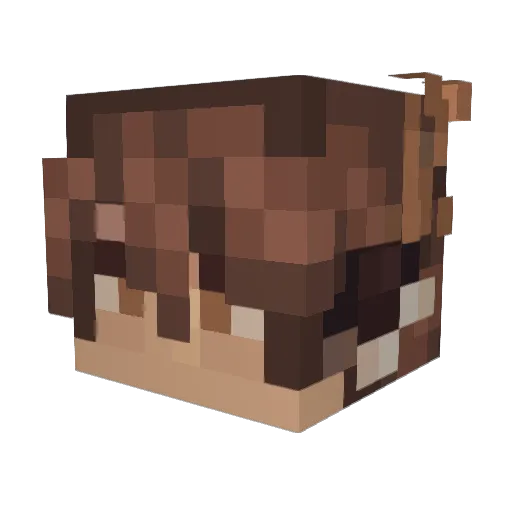 Weevl Minecraft avatar head, 3D render