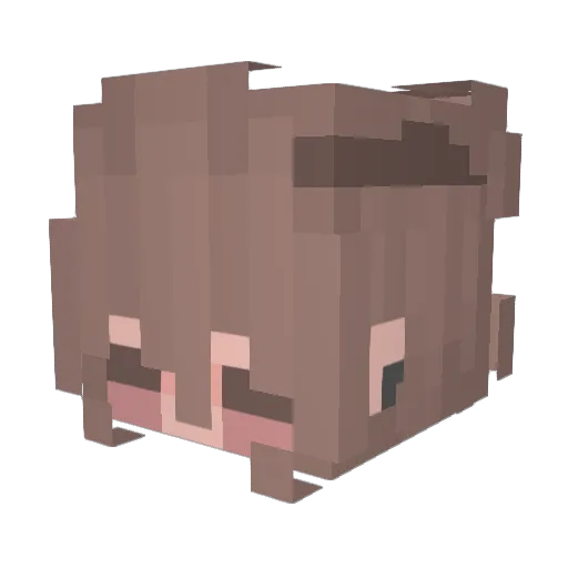 WeexSky Minecraft avatar head, 3D render
