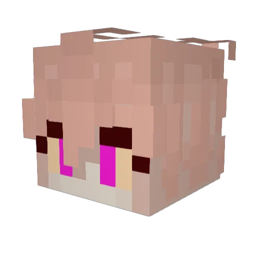Weez93 Minecraft avatar head, 3D render