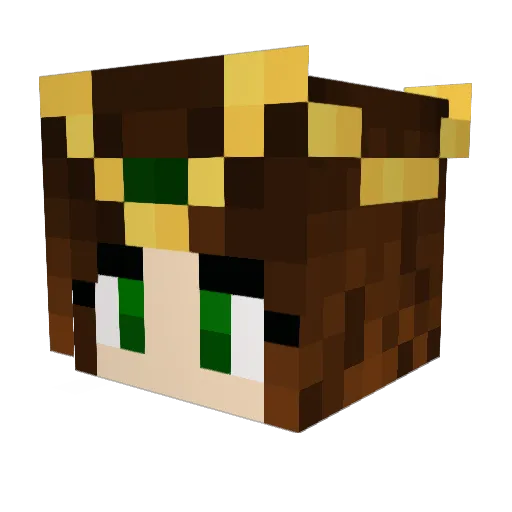 WeezerEatCake Minecraft avatar head, 3D render