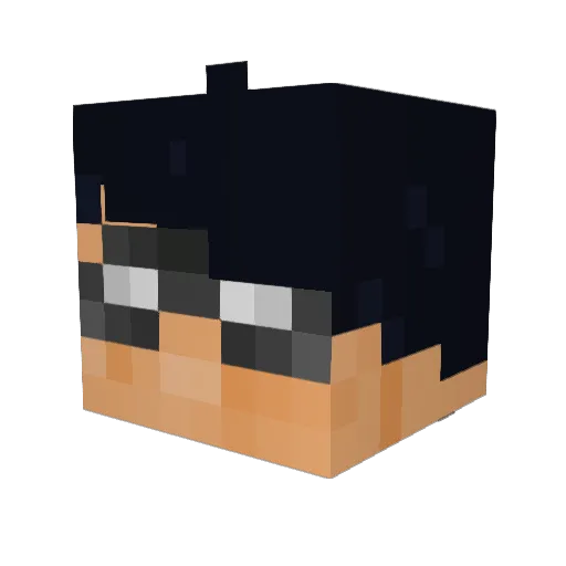 Weezybear007 Minecraft avatar head, 3D render
