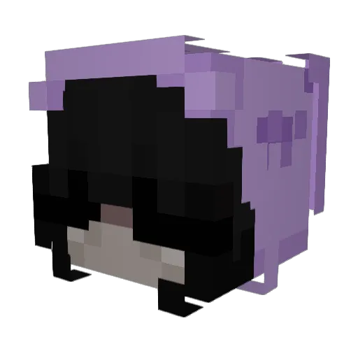 WeiTohh Minecraft avatar head, 3D render